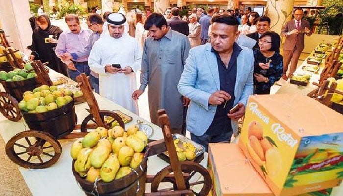 People seen at the Pakistan Mango Festival kicked off in Dubai. — Online/file