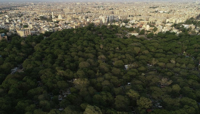 An aerial view shows a green patch of Azadirachta Indica trees over a graveyard with the city in the background in Karachi, on June 6, 2021. — Reuters