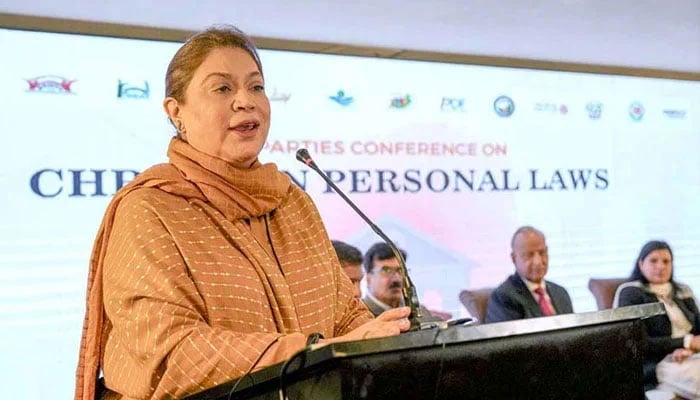 Chairperson of National Commission on the Status of Women (NCSW) Nilofar Bakhtiar addresses an event. — APP File