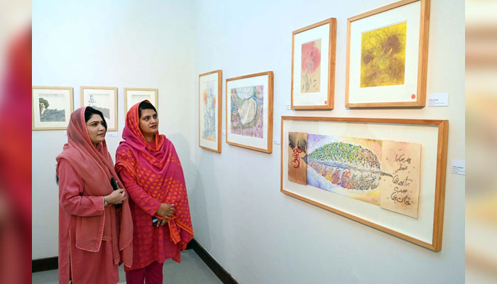 Visitors keenly viewing art work during an exhibition “Be a Catalyst; Reimaging our connection to Gaia” organized by Pakistan National Council of the Arts and OffGrid Studios at PNCA on July 10, 2024. — APP