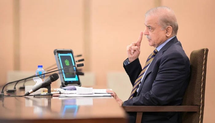 Prime Minister Shehbaz Sharif addresses the federal cabinet on July 10, 2024. — PID