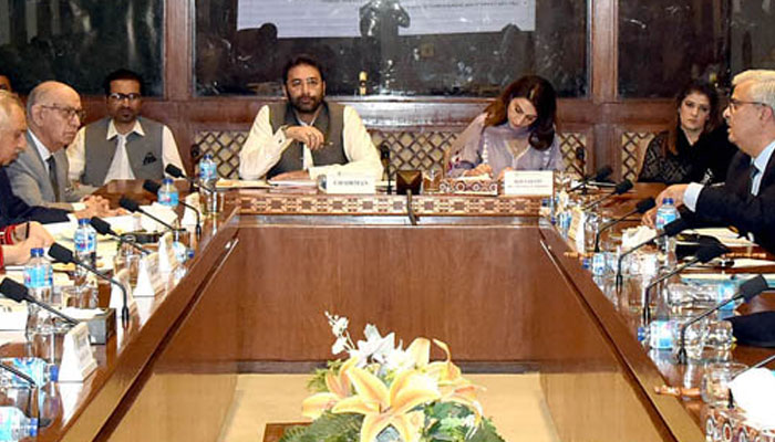 Senator Faisal Saleem Rehman, chairman Senate Standing Committee on interior presides over a meeting of the committee at Parliament House on July 11, 2024. — APP