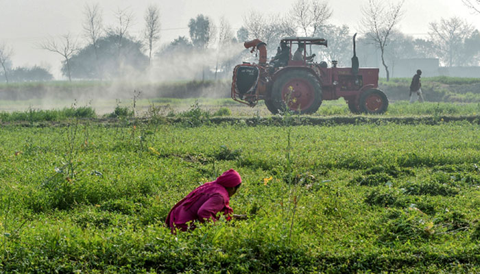 This picture shows a woman in a field with a tractor in the background. — AFP/file