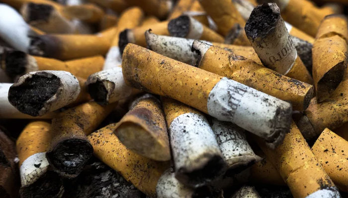 Smoked cigarette butts. — AFP/file