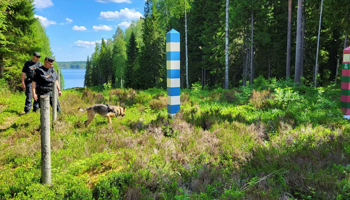 Finnish border guards patrol the Finnish-Russian border near Hoilola village, Eastern Finland on June 5. — Reuters