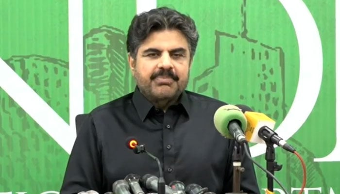 Sindh Planning & Development, and Energy Minister Syed Nasir Hussain Shah addresses a press conference on July 13, 2024. — Screengrab via Facebook/Syed Nasir Hussain Shah