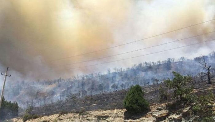 Smoke rises from a wildfire in the Sukhaya Shchel tract in the Krasnodar Region, Russia. — Reuters/file