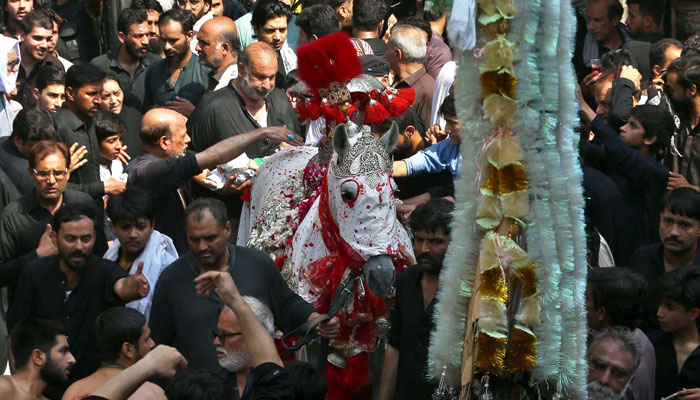 Muslims mourners to Imam Hussain (A.S) participate in a religious procession, during the Ashura mourning procession in connection of the 10th Muharram-ul- Haram, in Peshawar on July 18, 2024. — PPI