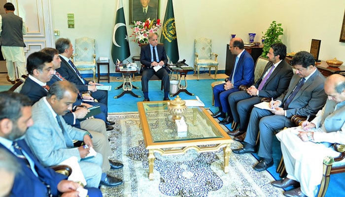 Prime Minister Shehbaz Sharif speaks with the delegation of Abu Dhabi Ports in Islamabad on July 19, 2024. — PMO