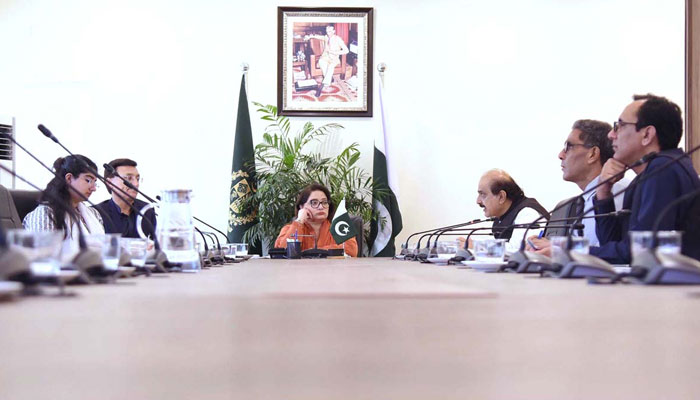 Coordinator to PM on Climate Change, Romina Khurshid Alam chairs the Second Review Meeting of PMs Committee to establish a mountaineering school in Gilgit-Baltistan in the Climate Change and Environmental Coordination Ministry on July 21, 2024. — APP