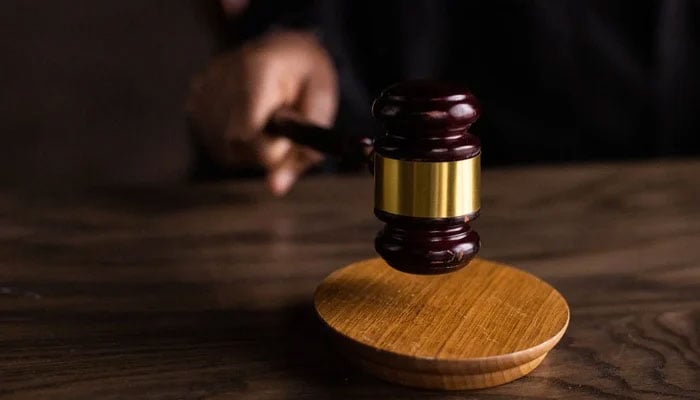 This representational image shows a person holding a gavel. — Pexels/file