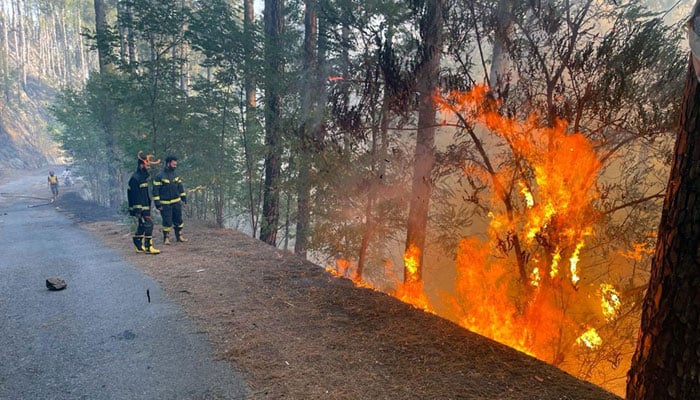 Rescue workers seen during a firefighting operation in a forest near Shimla Hill area near Abbottabad on May 6, 2022. — Online