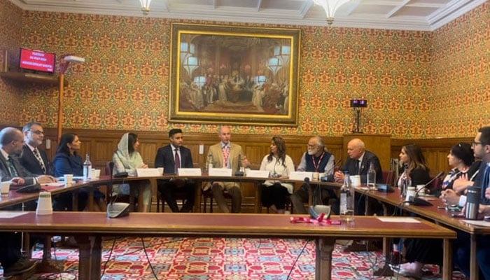 Lord Hannan (centre), PTIs Zulfi Bukhari (centre to 2nd left), Naz Shah MP (centre to 2nd right), PTIs Meher Bano Qureshi (centre to 3rd left) as well other MPs in UK Parliament attend democracy in crisis hearing on Pakistan. — Reporter