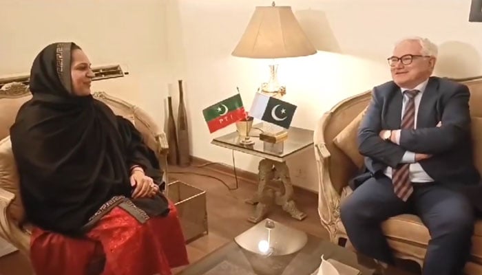 PTI MPA Baasima Chaudhry discusses issues of mutual interest with German Ambassador Alfred Grannas (right) at her residence on July 24, 2024. — Screengrab via Facebook/Baasima Chaudhry