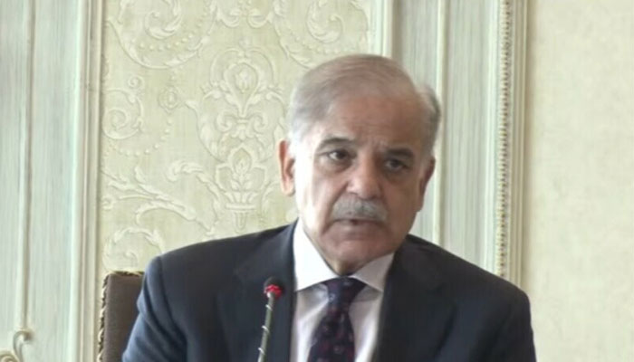 Prime Minister Shehbaz Sharif addressing a meeting of the Federal Cabinet in Islamabad on Wednesday, July 24, 2024. — APP