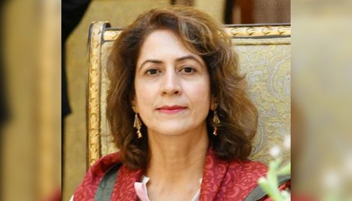 Newly appointed Federal Secretary for Information and Broadcasting Ambreen Jan seen in this image. — National Information Technology Board Website/File