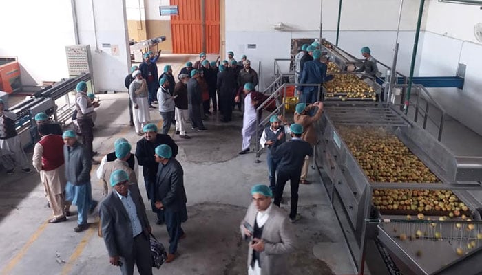 This representational image shows an interior view of a food manufacturing plant. — Facebook/Agro Food Processing -AFP Facilities Multan/File