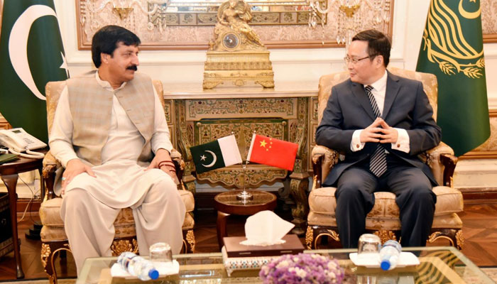 Punjab Governor Sardar Saleem Haider exchanges views with Chinese Consul General in Lahore Zhao Shirin who calls on him at Governor House on July 25, 2024. — Facebook/Sardar Saleem Haider Khan