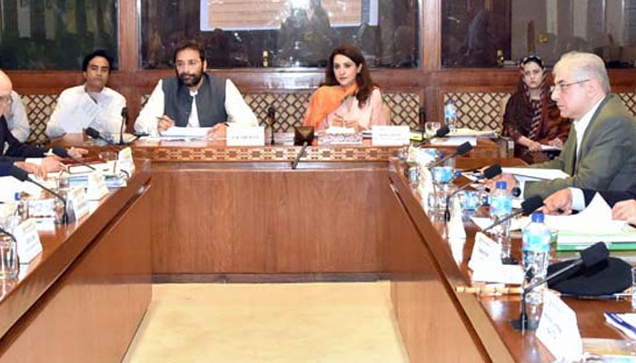 Senator Faisal Saleem Rehman, chairman Senate Standing Committee on Interior presiding over a meeting of the committee at Parliament House on July 25, 2024. — APP