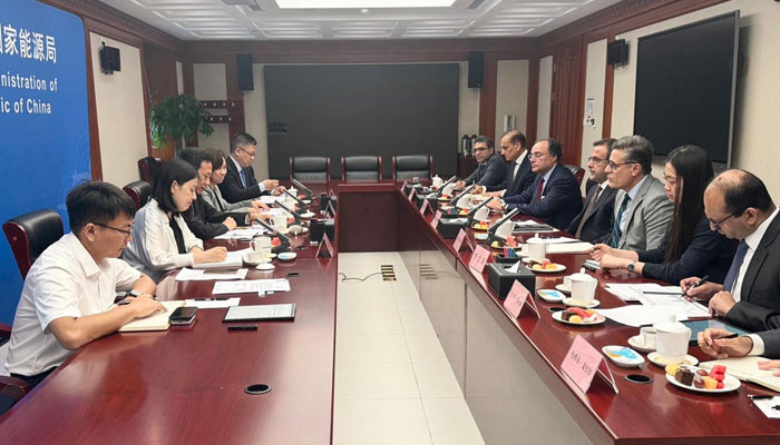 Finance Minister Muhammad Aurangzeb (5th right) and Energy Minister Sardar Awais Ahmad Khan Laghari held meeting with National Energy Administration (NEA) Vice Administrator Ren Jingong in Beijing on July 26, 2024. — PID