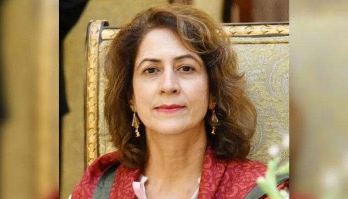 Federal Information Secretary Ambreen Jan seen in this image. — MoIB website/File