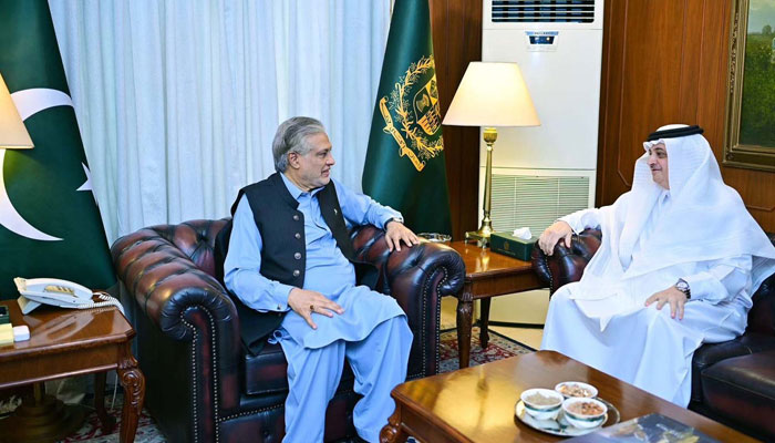 Deputy PM and Foreign Affairs Minister, Senator Mohammad Ishaq Dar exchanges views with Ambassador of the Kingdom of Saudi Arabia, Nawaf Al Maliki during a meeting at the Ministry of Foreign Affairs in Islamabad on July 27, 2024. — PPI