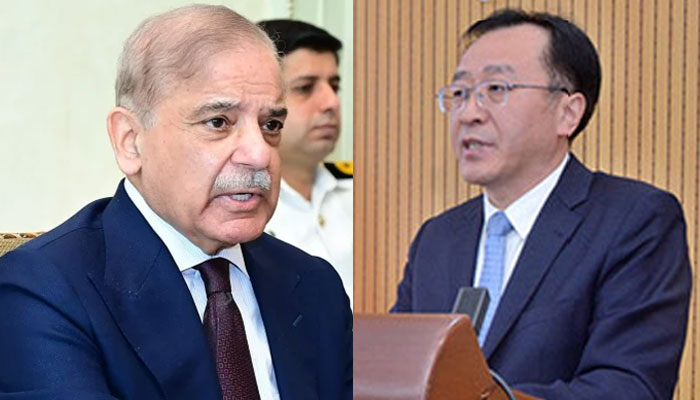 Prime Minister Shehbaz Sharif and Chinese Consul General, Yang Yundong seen in this image. — Facebook @ShehbazSharif/APP/file