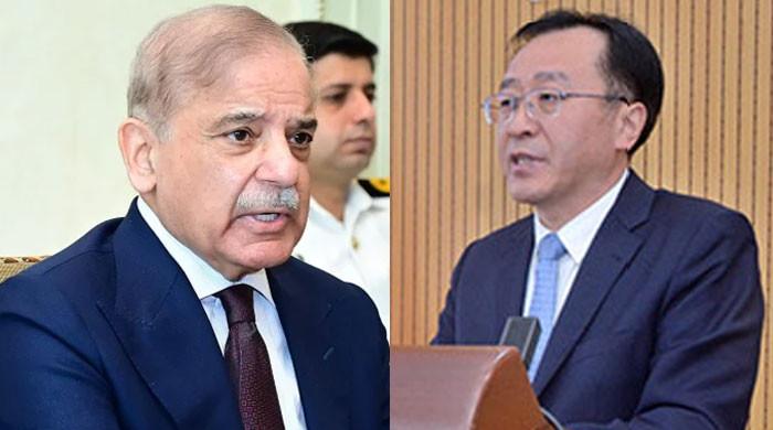 China CG emphasizes importance of Gwadar