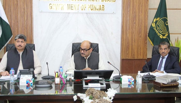 Planning and Development (P&D) Board Chairman Barrister Nabeel Ahmad Awan presides over the 11th meeting of the Provincial Development Working Party (PDWP) Fiscal Year 2024-25 on July 31, 2024. — Facebook/Planning & Development Board, Govt. of the Punjab