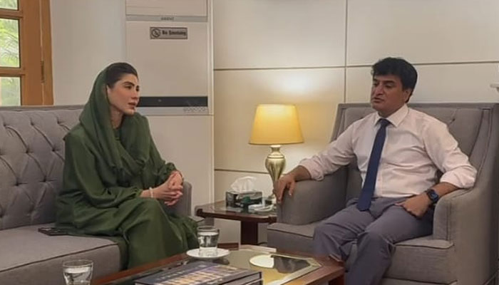 Women Protection Authority Chairperson Hina Pervaiz Butt (left) exchanges views with Punjab Home Secretary Noor-ul-Amin Mengal on July 31, 2024. — Facebook/Punjab Women Protection Authority