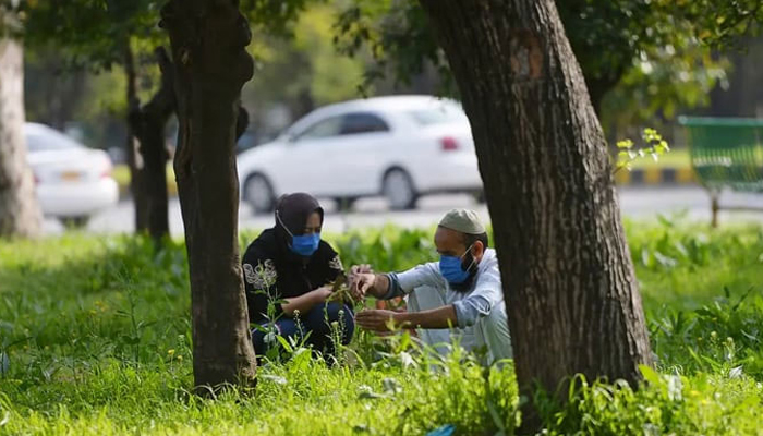 Local residents plant trees on a green belt along a street in Islamabad. — AFP/File