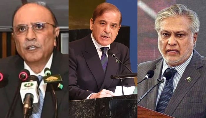 This collage of images shows, President Asif Ali Zardari (left), Prime Minister Shehbaz Sharif (centre), and Deputy Prime Minister and Foreign Minister Ishaq Dar. — National Assembly of Pakistan/APP/AFP/File