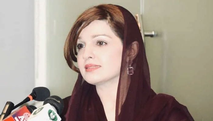 Mushaal Malick, former Special Assistant to the Prime Minister on Human Rights and Women Empowerment and wife of Hurriyet leader Yasin Malick seen in this image. — X/@MushaalMullick