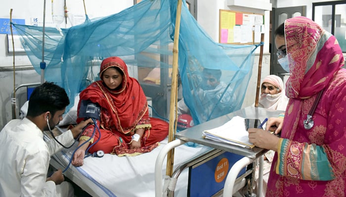 A doctor gives treatment to a dengue patient in a hospital on October 8, 2023. — Online