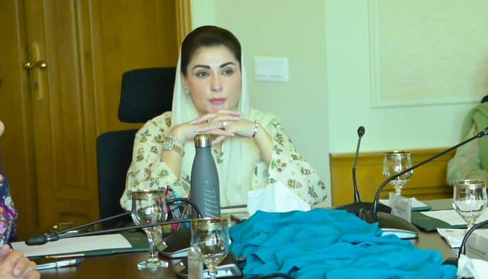 Punjab Chief Minister Maryam Nawaz presides over a meeting on July 31, 2024. — Facebook/Maryam Nawaz Sharif