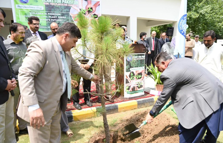 NUML Rector Major General (retd) Shahid Mahmood Kayani (right) and Director General Brig Shahzad Munir (left) plantt a tree at the university in this image released on August 12, 2024. — Facebook/@NUMLOFFICIALPAGE