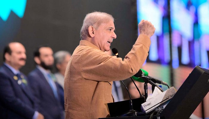 Prime Minister, Muhammad Shehbaz Sharif addresses an event organized to celebrate the International Youth Day in Islamabad on August 12, 2024. — PPI