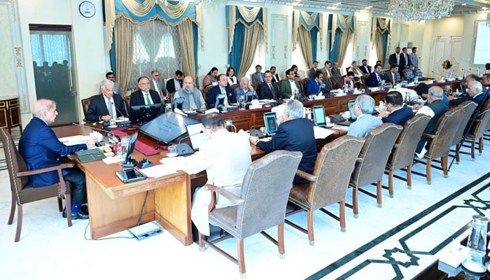 Prime Minister Muhammad Shehbaz Sharif chairs Federal Cabinet meeting in Islamabad on August 13, 2024. — Facebook/Government of Pakistan