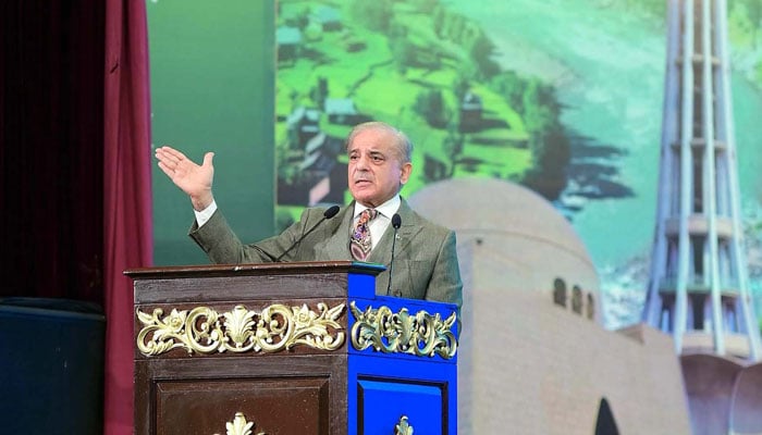 Prime Minister, Muhammad Shehbaz Sharif addresses during a ceremony on the occasion of the Independence Day of Pakistan, in Islamabad on August 14, 2024. — PPI