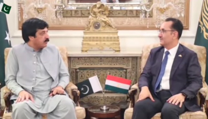 Punjab Governor Sardar Saleem Haider Khan (left) meets Ambassador of Republic of Tajikistan Yusuf Sharifzoda in this image released on August 18, 2024. —Screebgrab via ٖFacebook/@sardarsaleemhaidergroup