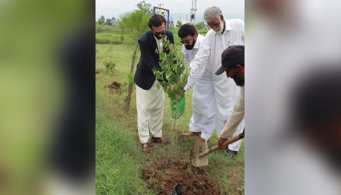 At Gandhara Resource Center Pakistan, Sohail Ahmed and others watering the plant after planting released on August 19, 2024. — Facebook/@Suhail Ahmad