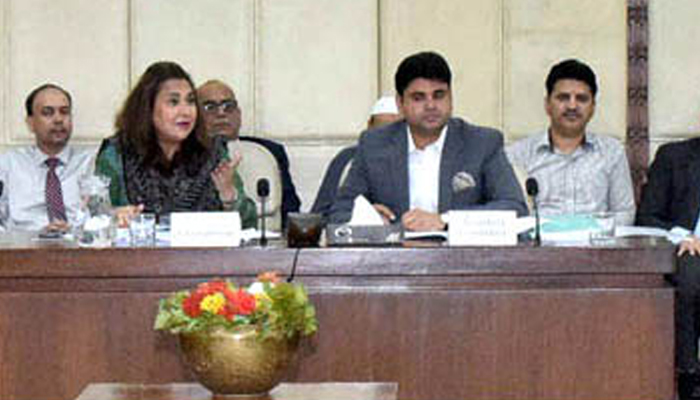 Senator Dr. Zarqa Suharwardy Chairperson Senate Functional Committee on Devolution presiding over a meeting of the committee at Parliament House on August 19, 2024 — APP