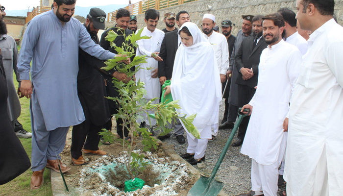 District and Sessions Judge Sadia Arshad pouring water after planting a sapling. Mazhar Muzafar Awan, the TMO and others are present on the occasion August 20, 2024. — Facebook/@District Judiciary Mansehra