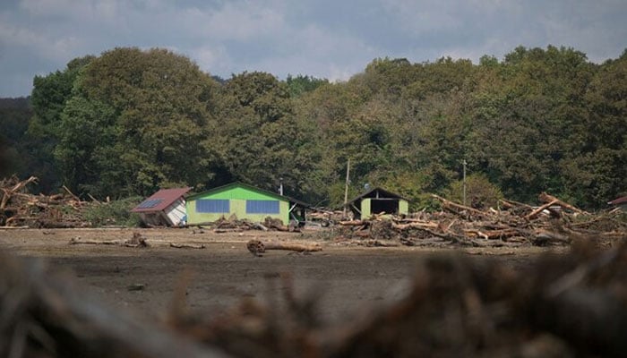 Uprooted trees are piled up next to destroyed bungalows as rescue teams search for a missing person after a flood hit bungalow homes in the Igneada district of Kirklarel, on September 7, 2023. — AFP