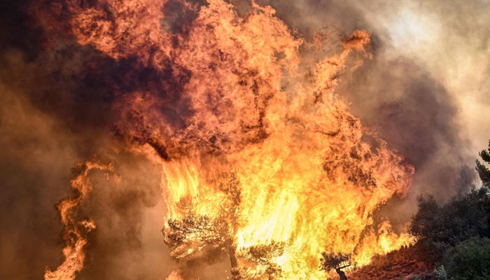 A photo shows flames burning vegetation during a wildfire near Prodromos, 100km northeast from Athens, on August 21, 2023. — AFP