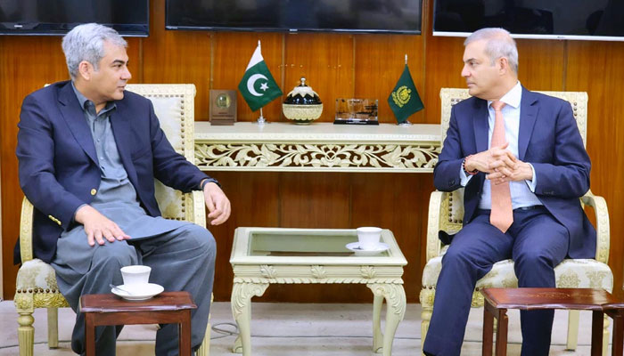 Federal Minister for Interior Mohsin Naqvi in a meeting with the UN Special Representative for Afghanistan Indrika Ratwatte on August 28, 2024. — APP