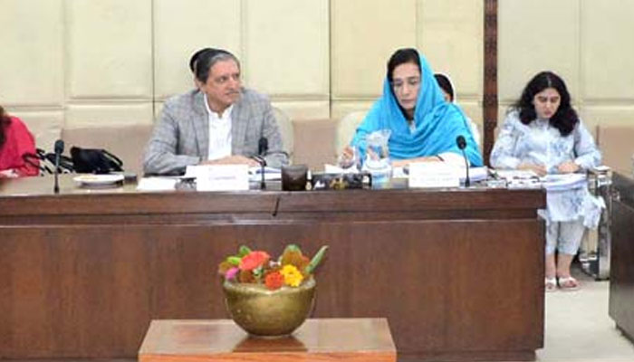 Senator Saleem Mandviwalla, Chairman Senate Standing Committee on Finance and Revenue presides over a meeting of the committee at Parliament House on August 28, 2024. — APP