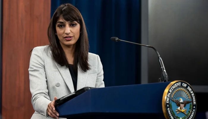 Deputy Pentagon Press Secretary Sabrina Singh addresses a presser in this undated image. — US Department of Defence