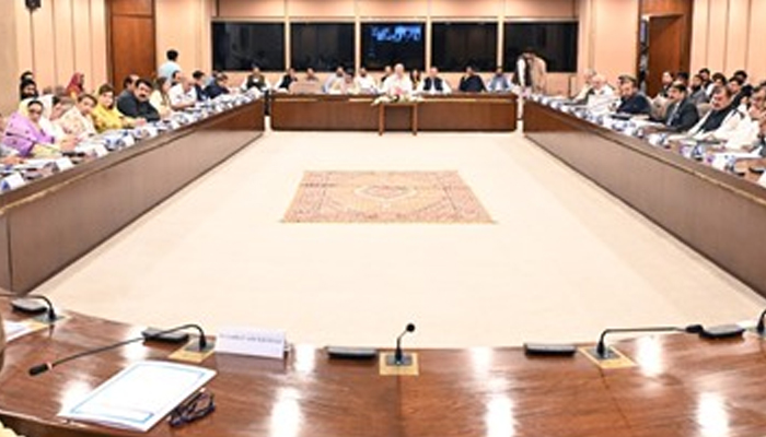 Chairman Standing Committee on Federal Eductaiom Professional Training, National Heritage and Culture Azim uddin Zahid Chairing the committee meeting at Parliment House. — NA GOV website/file