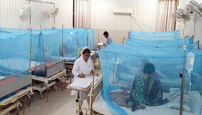 A file photo of the dengue ward at a public hospital in Pakistan. — Online